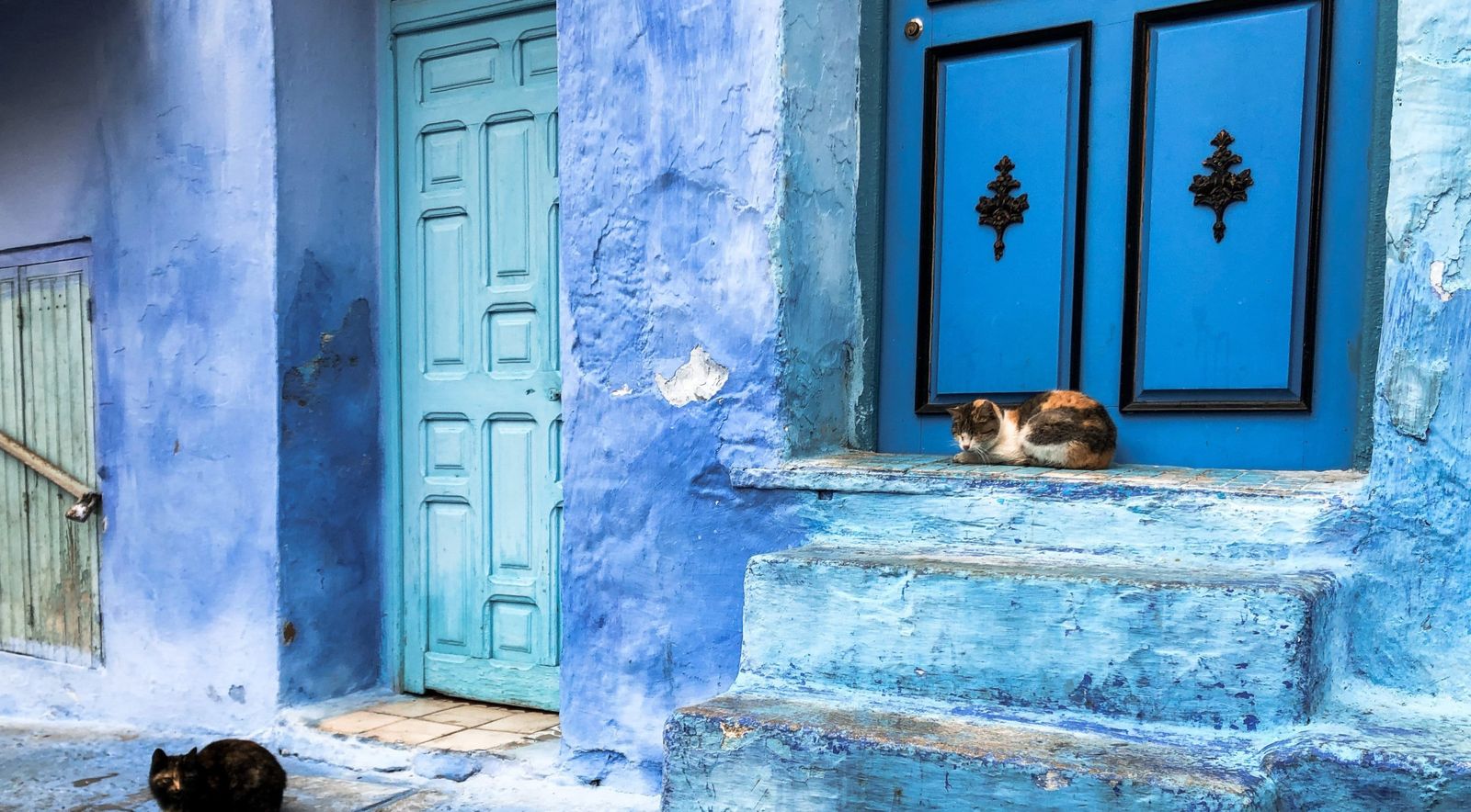 Depuis Tanger : Excursion d’une journée à Chefchaouen avec déjeuner traditionnel