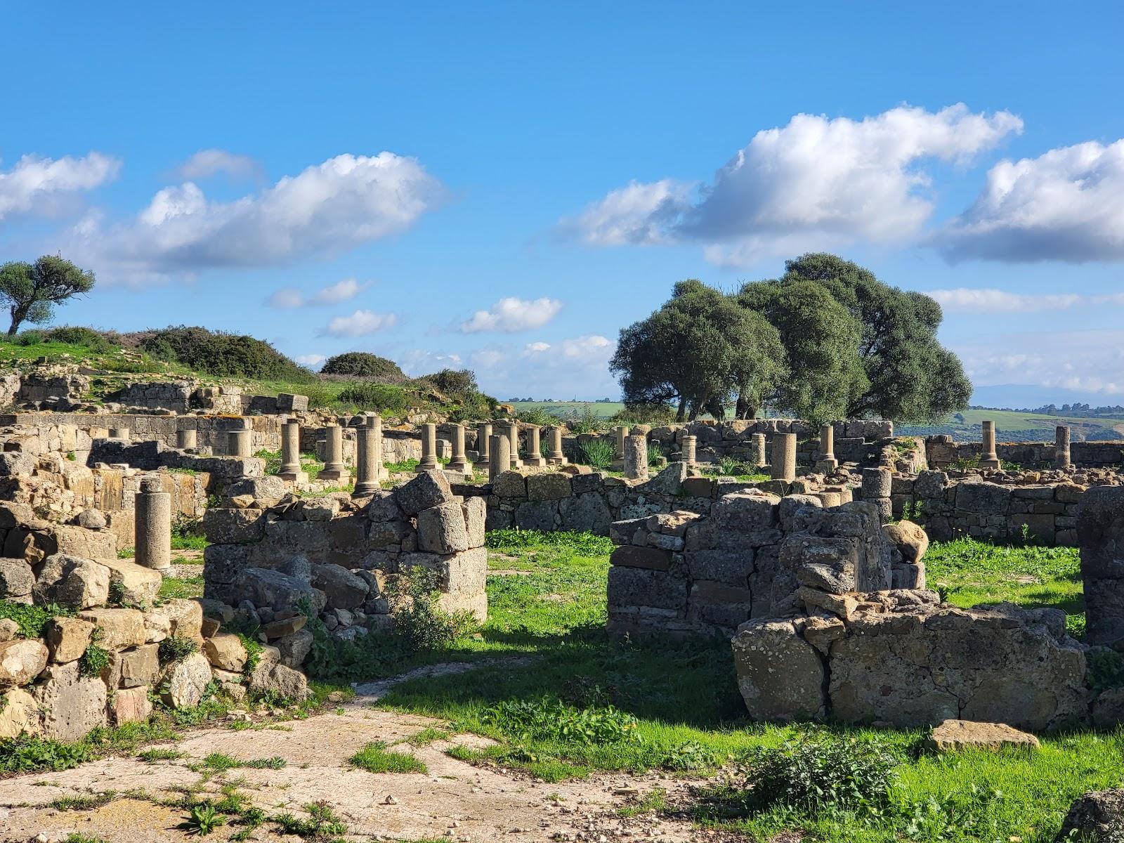 Excursion à Larache - photo 2