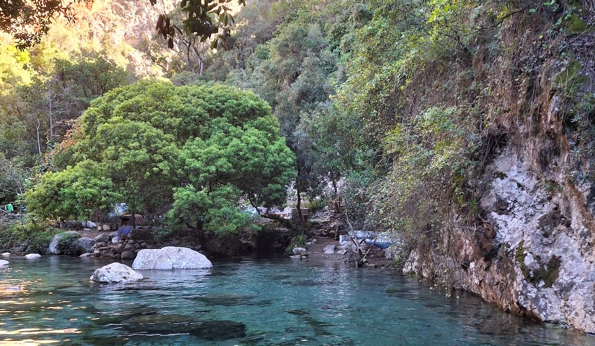Au départ de Chefchaouen : Visite guidée des cascades d’Akchour - photo 1