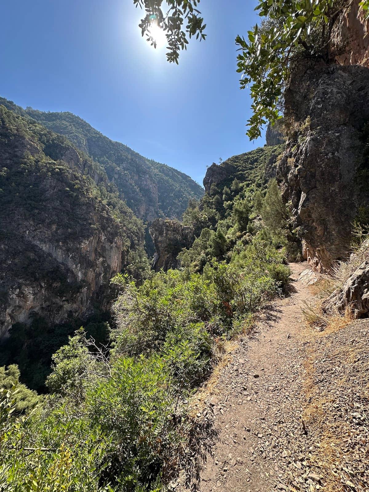 Au départ de Chefchaouen : Visite guidée des cascades d’Akchour - photo 5
