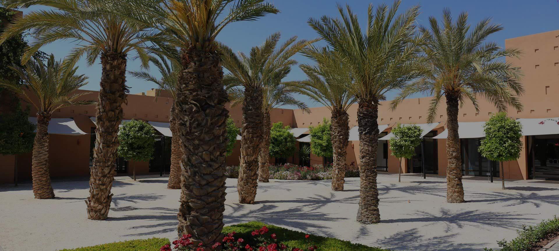 Hôtel Aqua Mirage Club & Aqua Parc - photo 5