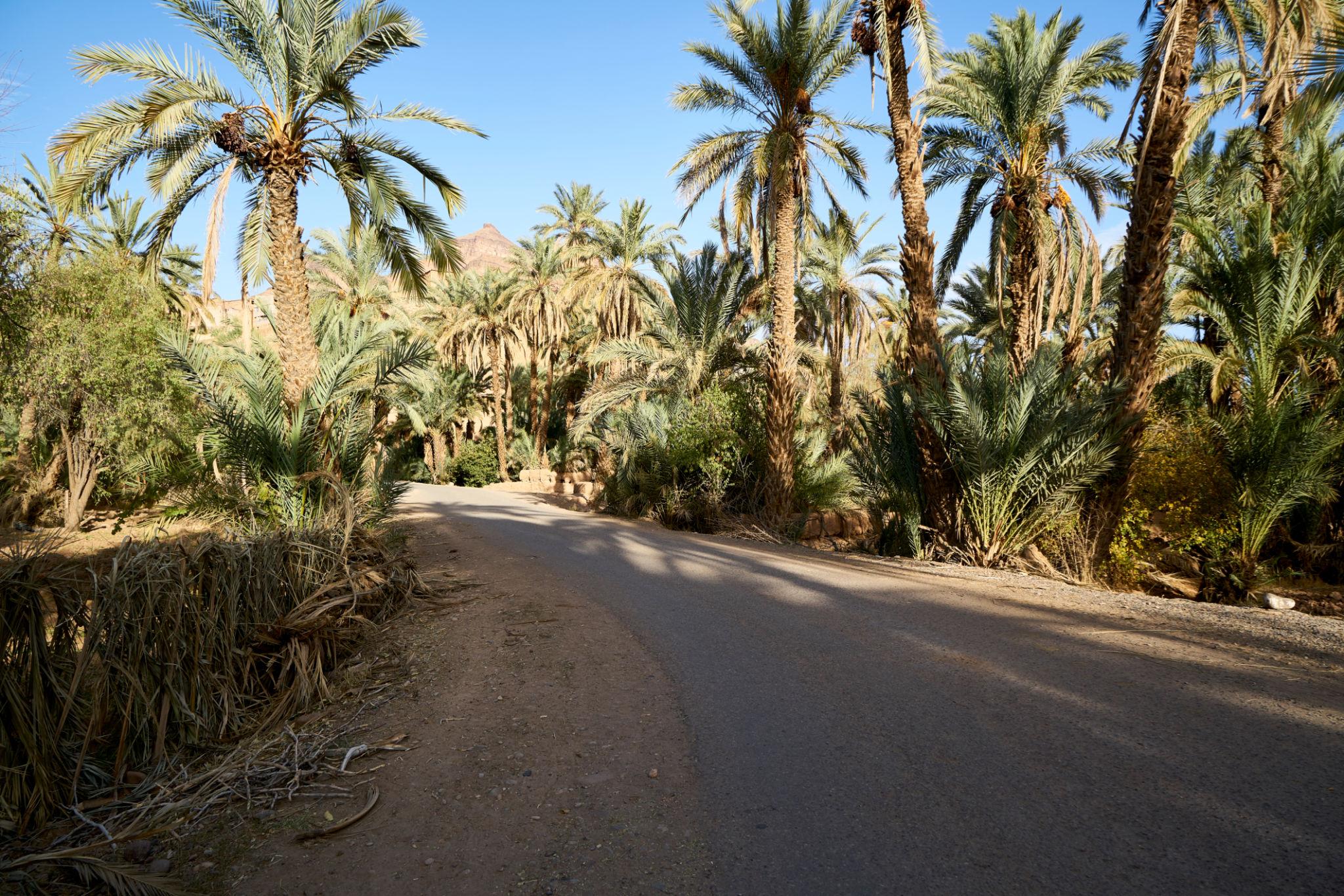 Circuit de 3 jours à Merzouga - photo 4