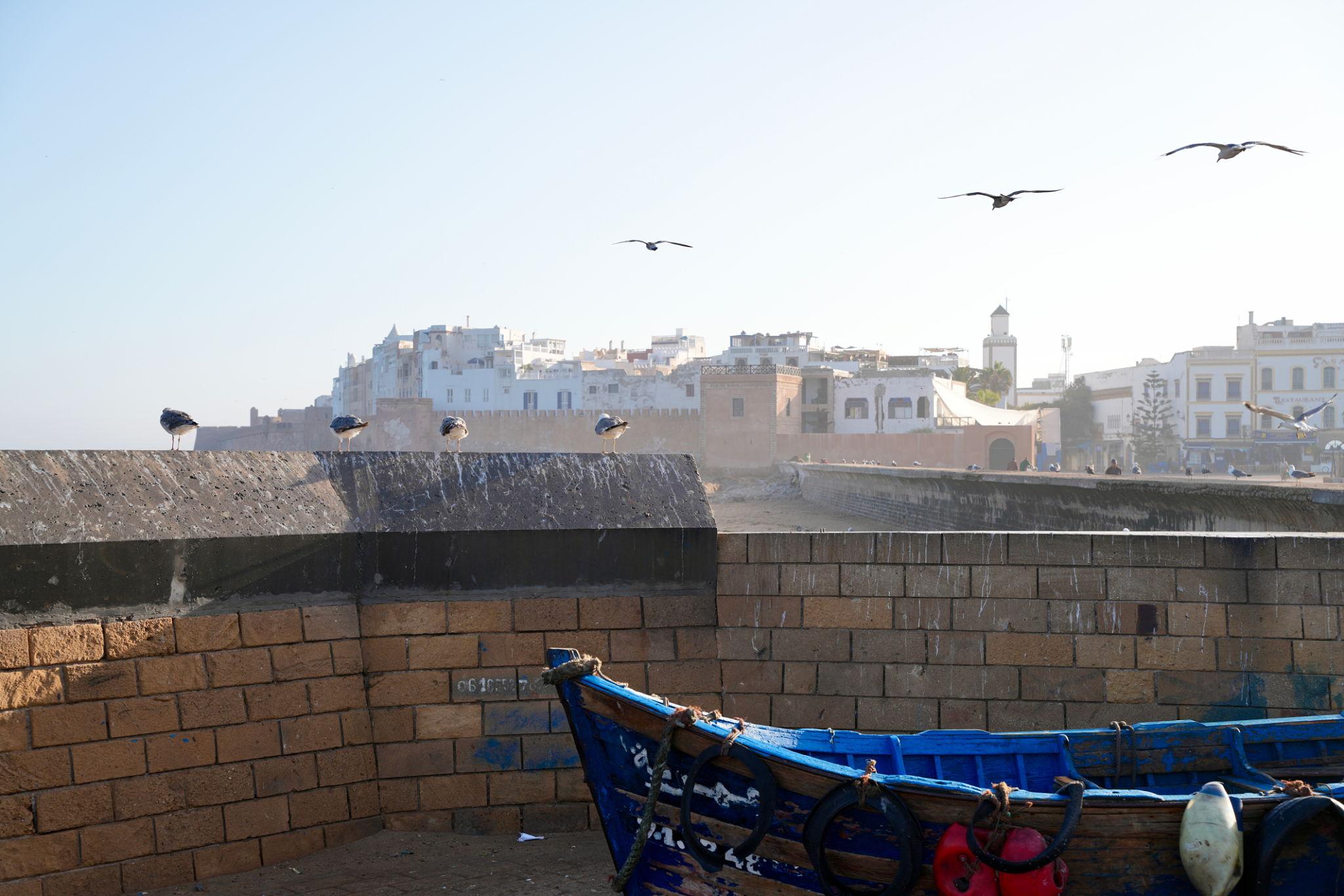 Imperial Cities & Desert Circuit – 12 Days / 11 Nights - photo 4