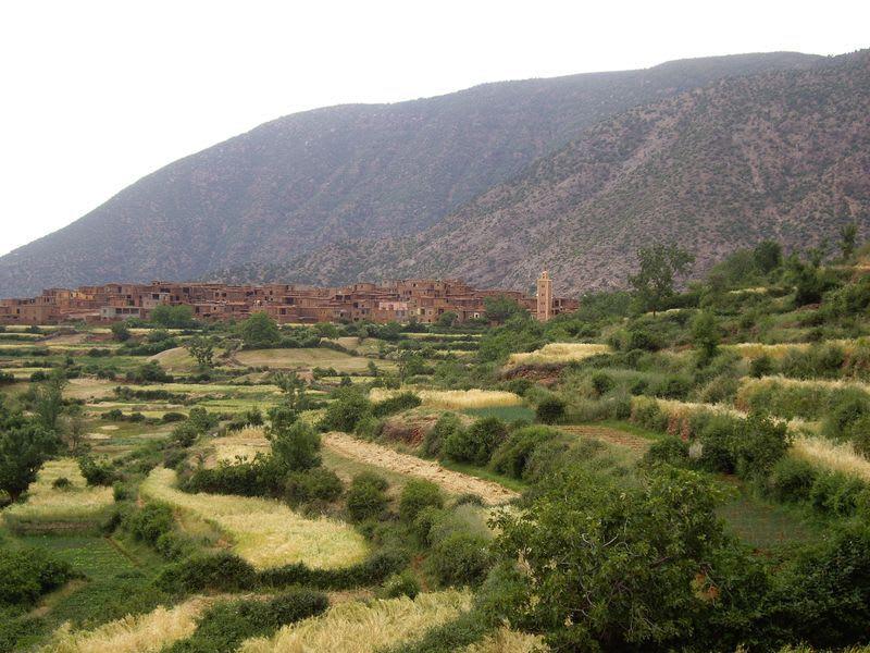 Excursion & Trek to the Zat Valley - photo 5