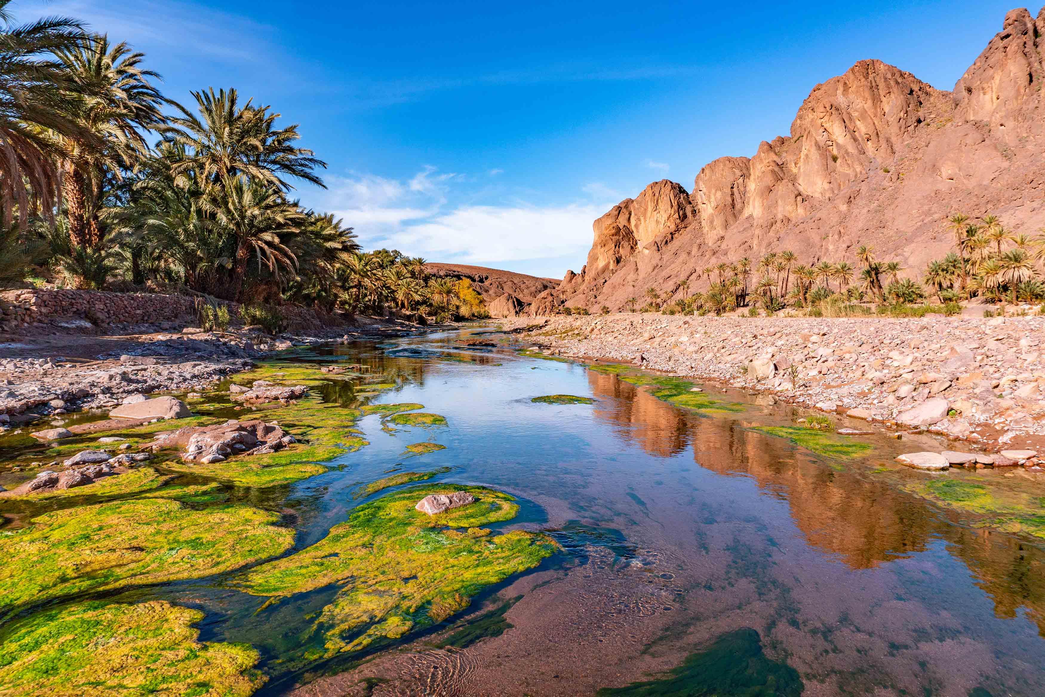 Ouarzazate 2-Day Tour - photo 2