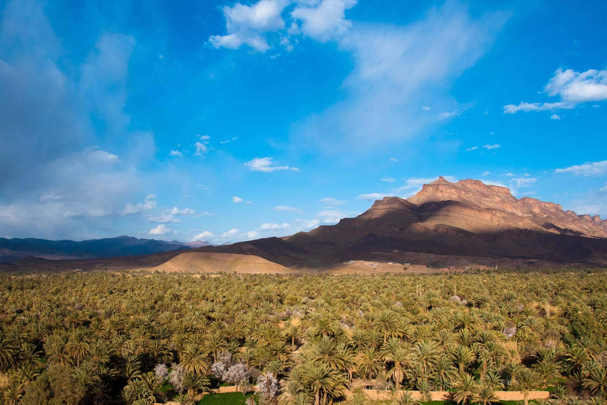 Taroudant - Aoulouz - Taliouine - Taznakhte - Ouarzazate