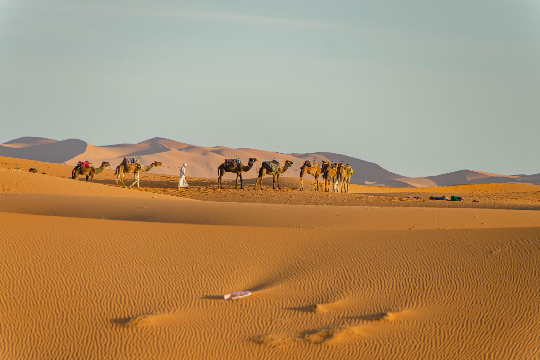 Ouarzazate - Gorges de Dadès - Gorges Todra - Erfoud- Merzouga