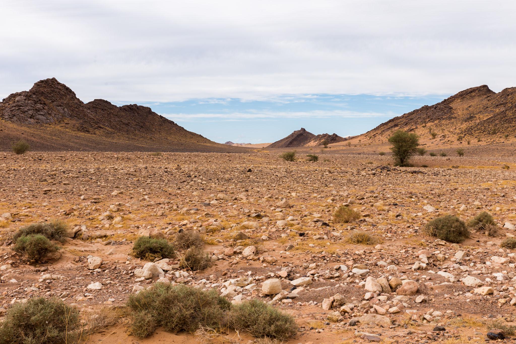 Merzouga – Ramlia – M’harech