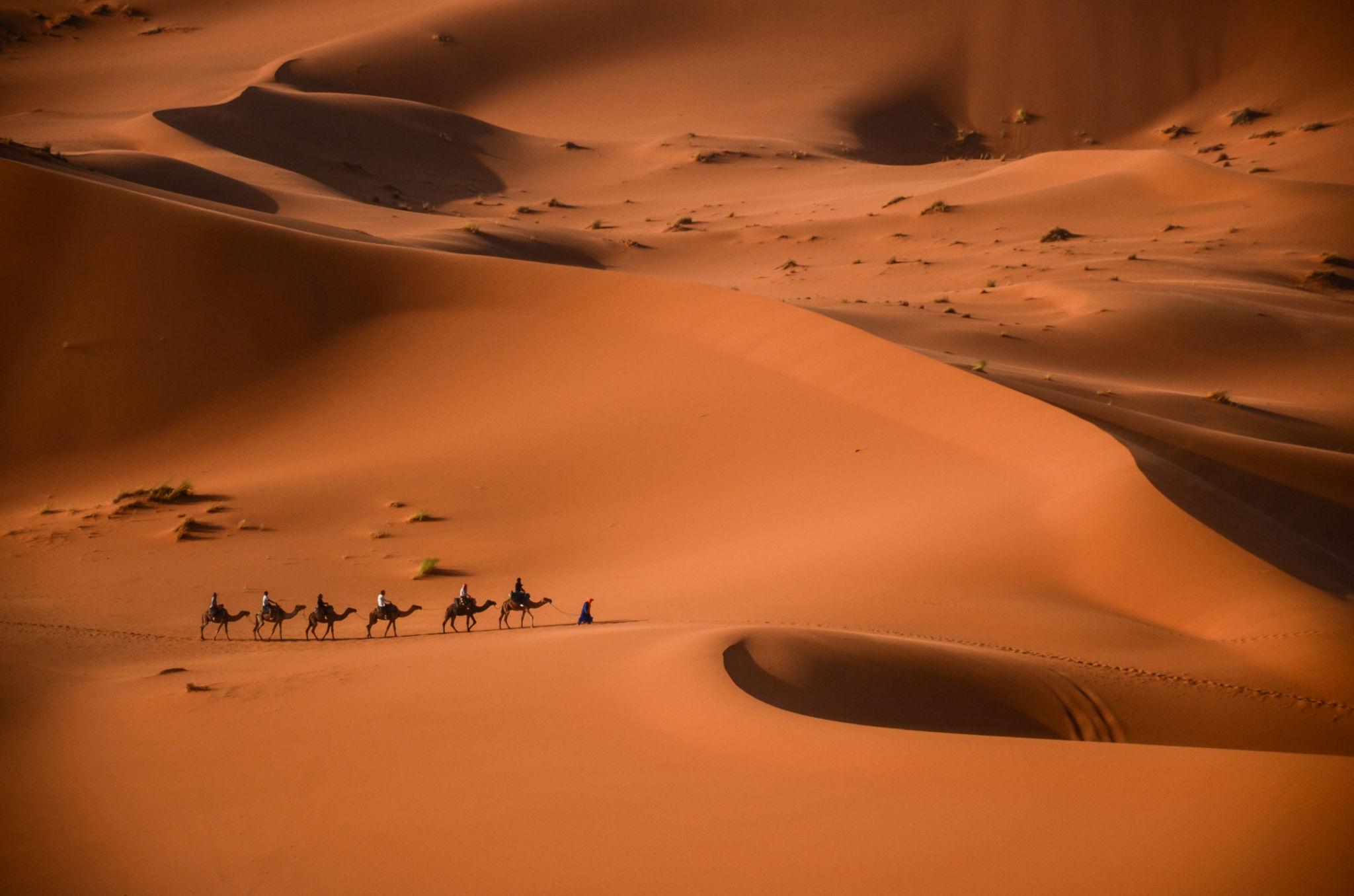 Vallée du Dadès — Gorges du Todra — Erfoud — Merzouga